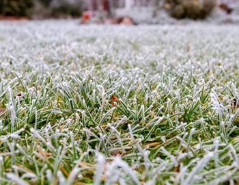 Winterizing Your Lawn: A Step-by-Step Guide