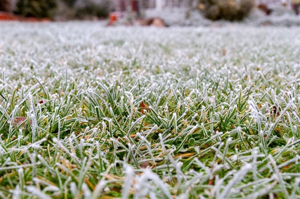 Winterizing Your Lawn: A Step-by-Step Guide