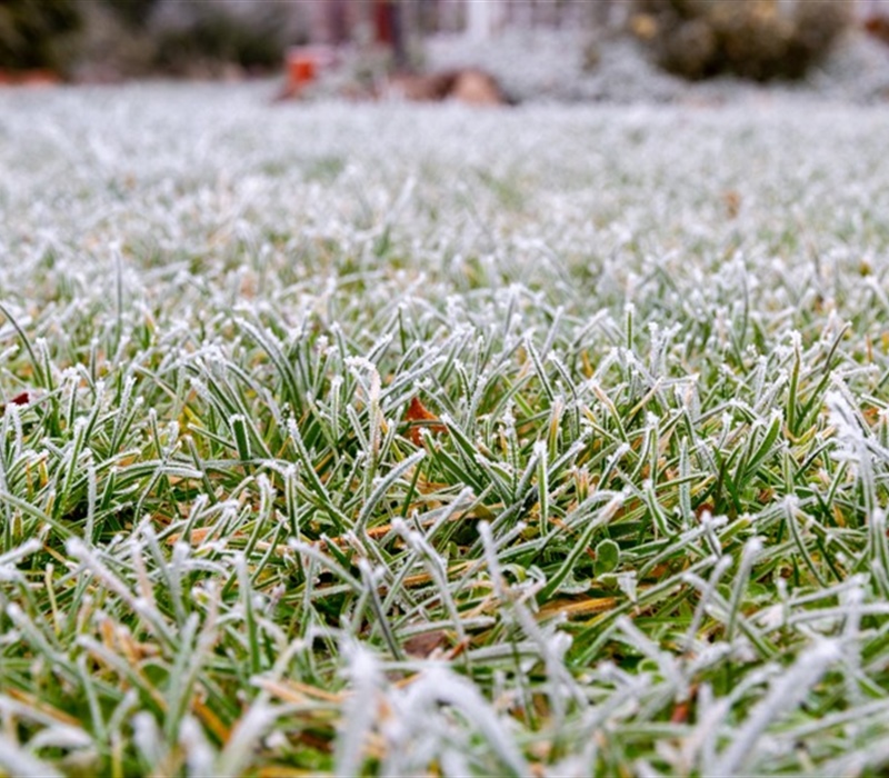 Winterizing Your Lawn: A Step-by-Step Guide