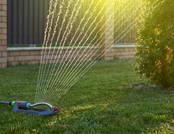 Busting Common Lawn Care Myths: What You Need to Know