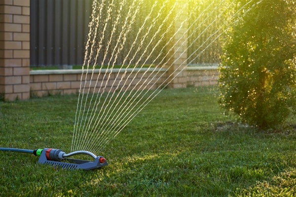 Busting Common Lawn Care Myths: What You Need to Know