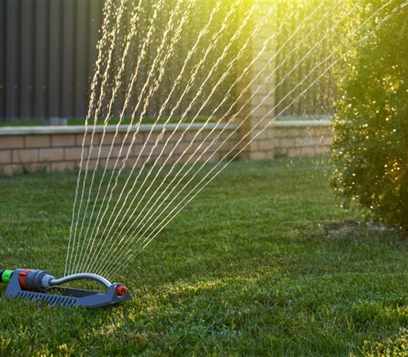 Busting Common Lawn Care Myths: What You Need to Know