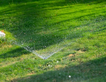 Benefits of Dethatching & Aeration in the Fall for a Healthier Lawn