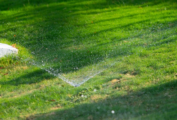 Benefits of Dethatching & Aeration in the Fall for a Healthier Lawn