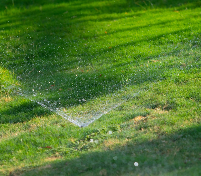 Benefits of Dethatching & Aeration in the Fall for a Healthier Lawn