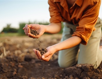 Custom Lawn Fertilization Plan: Essential Nutrients for a Healthy Lawn