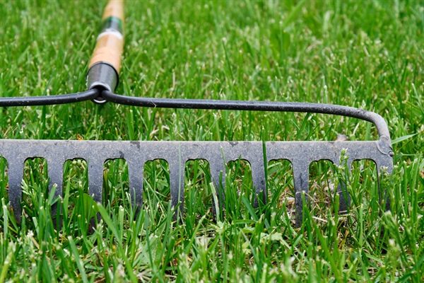 Best Lawn Dethatching Tools for Homeowners