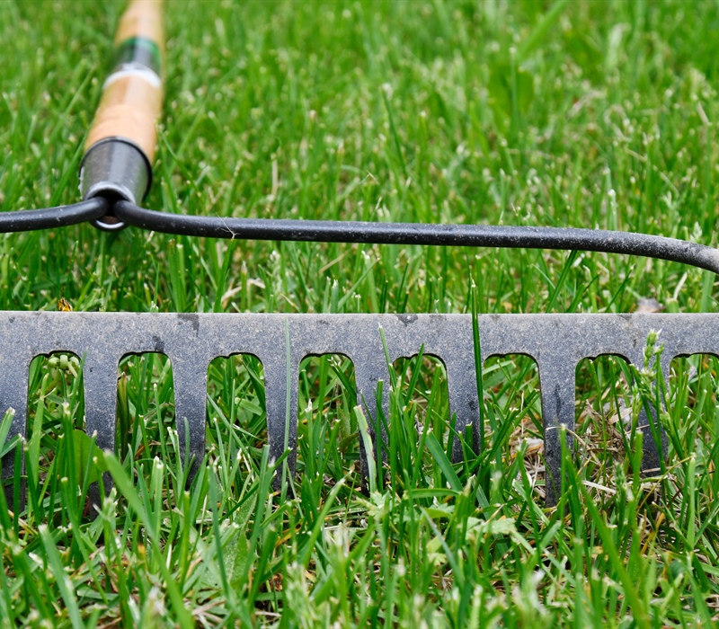 Best Lawn Dethatching Tools for Homeowners