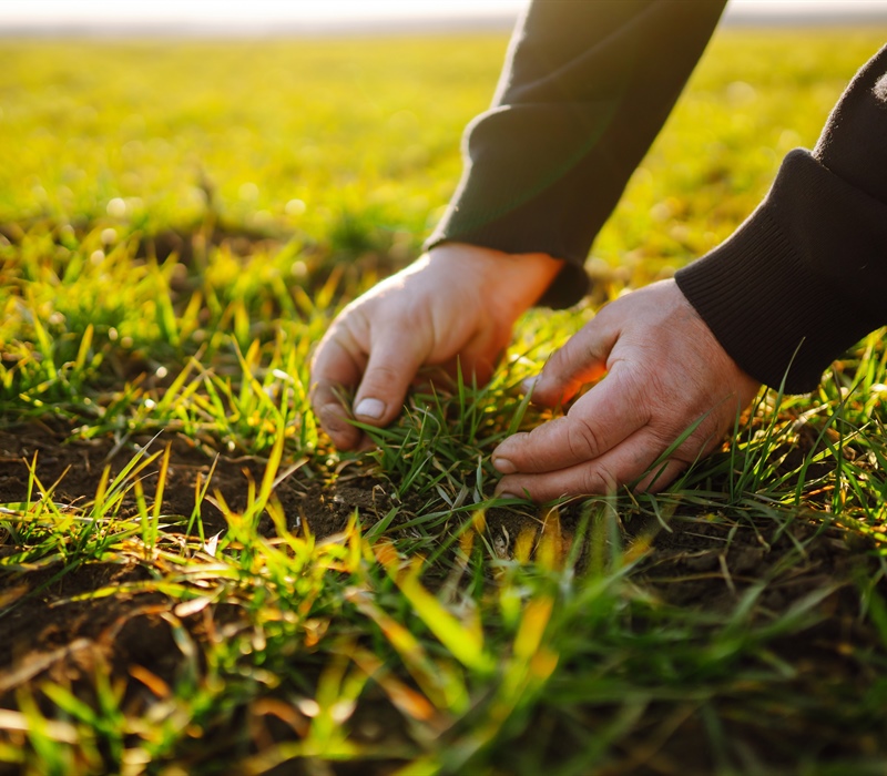 How Lawn Aeration Improves Soil Compaction for Healthier Lawns