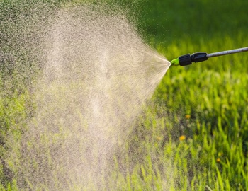 Exploring Slow-Release vs. Fast-Release Fertilizers: Key Differences for Optimal Lawn Health