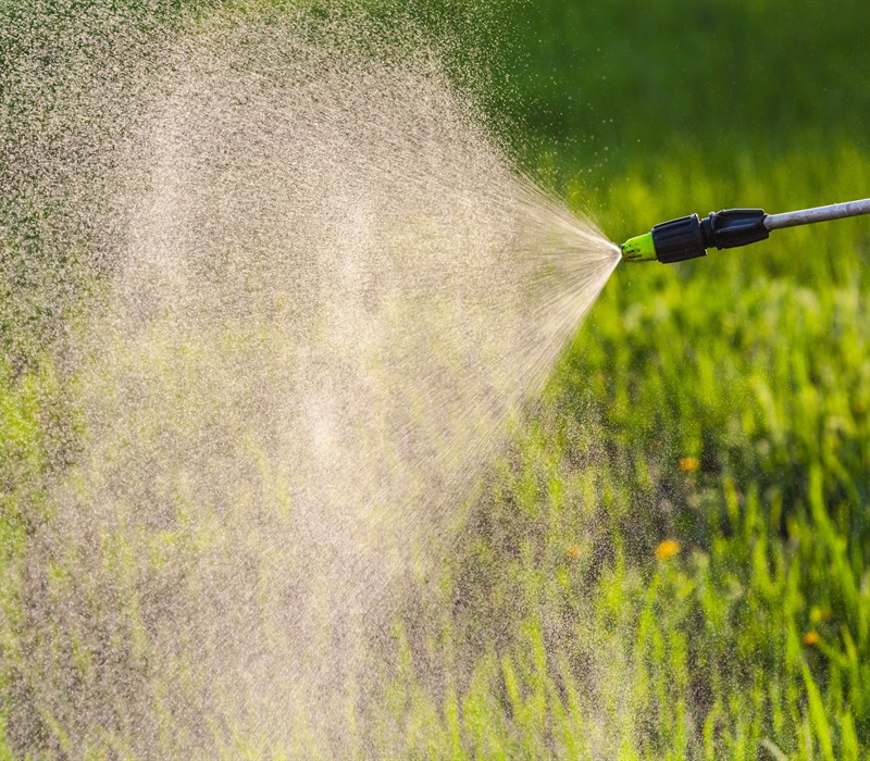 Exploring Slow-Release vs. Fast-Release Fertilizers: Key Differences for Optimal Lawn Health