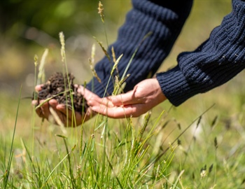 Local Expertise for Better Lawn Care Results in Prior Lake