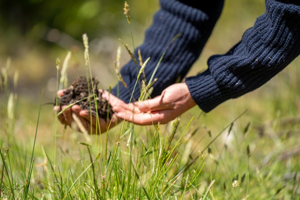 Local Expertise for Better Lawn Care Results in Prior Lake