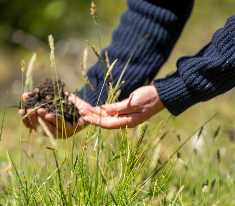Local Expertise for Better Lawn Care Results in Prior Lake