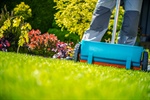 Professional Fertilization vs DIY in Prior Lake: Key Differences