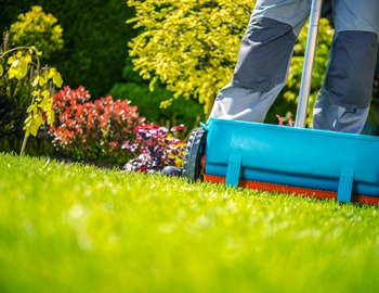 Professional Fertilization vs DIY in Prior Lake: Key Differences