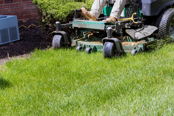 Lawn Care Maintenance Plans: What to Look for Before You Choose