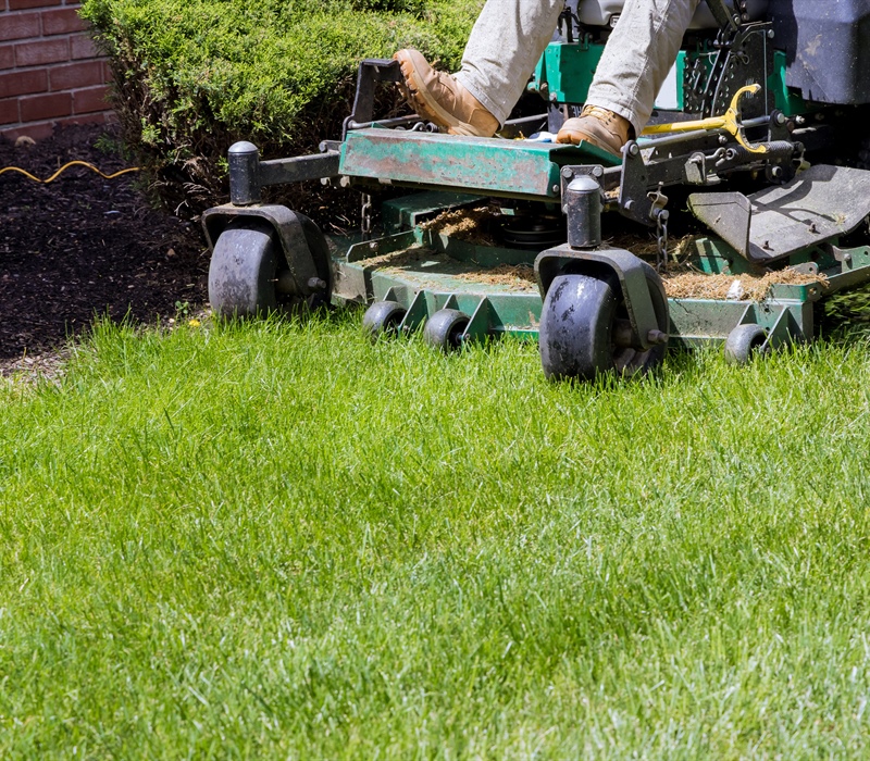 Lawn Care Maintenance Plans: What to Look for Before You Choose