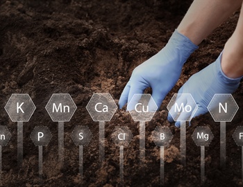 Role of Soil Testing in Effective Lawn Care