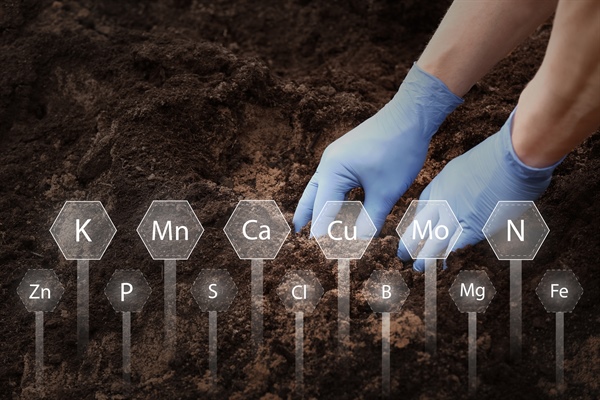 Role of Soil Testing in Effective Lawn Care