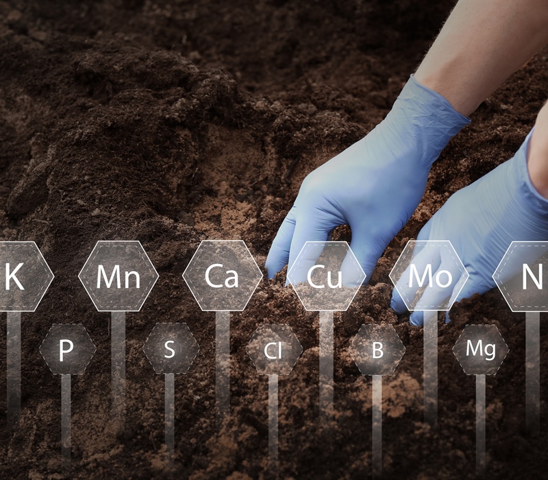 Role of Soil Testing in Effective Lawn Care