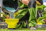 Granular vs. Liquid Fertilizer: Key Differences for Lawn Treatment