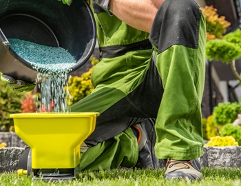 Granular vs. Liquid Fertilizer: Key Differences for Lawn Treatment