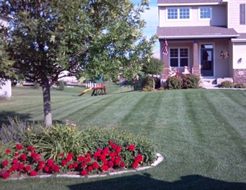 How Does The Timing of Watering Your Lawn Affect Nutrient Absorption?