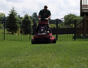 What Are the Signs Your Lawn Needs Aeration or Fertilization?