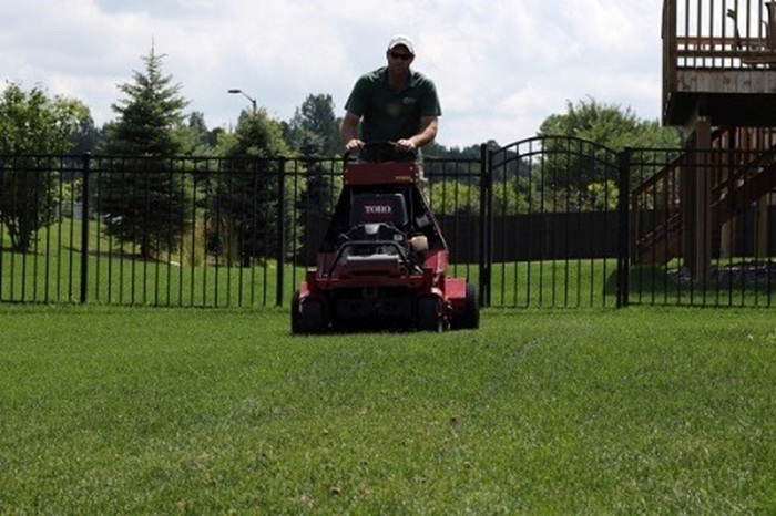 What Are the Signs Your Lawn Needs Aeration or Fertilization?