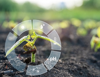 The Role of Soil pH in Lawn Health and How to Adjust It