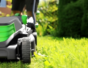 Seasonal Lawn Care Tips: Preparing Your Lawn for Each Season