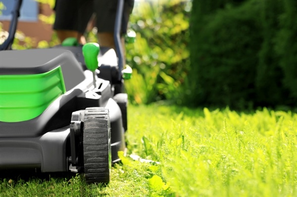 Seasonal Lawn Care Tips: Preparing Your Lawn for Each Season