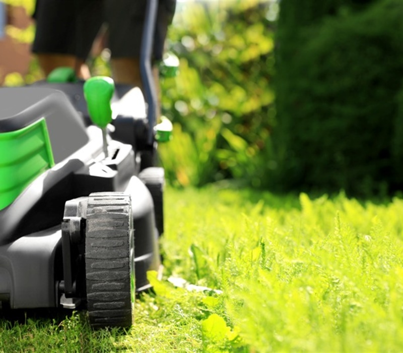 Seasonal Lawn Care Tips: Preparing Your Lawn for Each Season